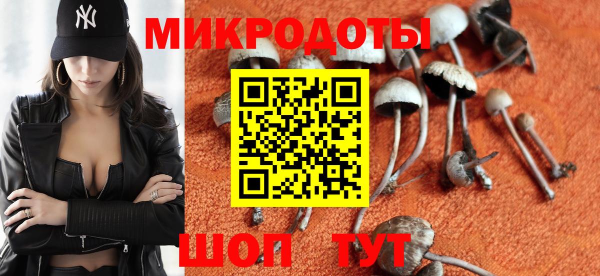 Псилоцибиновые грибы мухоморы Майский
